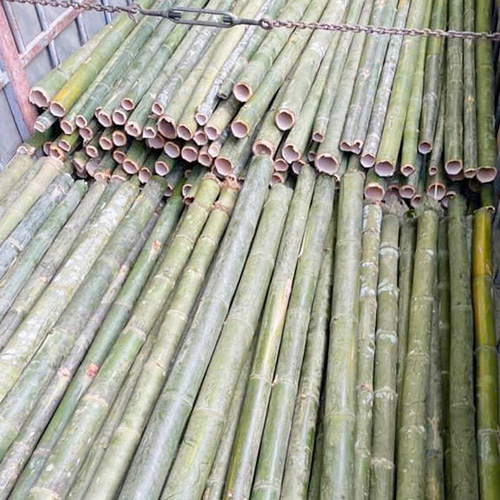 CỌC TRE, CỌC LUỒNG THÂN NGỌN 3M